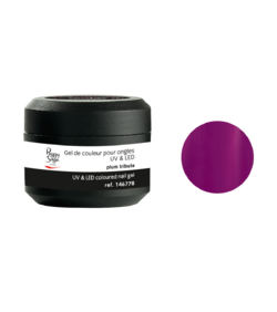 Gel de cor UV&LED Color IT Plum Tribute 5g - Ref. 146778