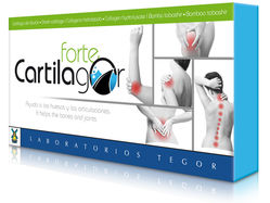 Cartilagor Forte - 40 cápsulas
