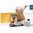 Desafio Reto Tegor 3K - Pack 14 dias
